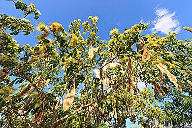 末日下的废土生存模拟，《避难所2》PC版发售