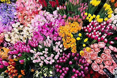 复古TRPG游戏《Arcadian Atlas》7月27日发售 支持简体中文