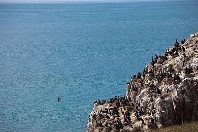 游戏音乐教父植松伸夫热推SE新游 倾尽全力个人作品
